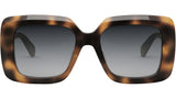 CELINE 3 Dots Classic Havana Square Sunglasses