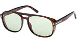 Rosco FT1022 52N Tortoise