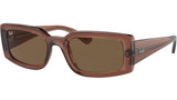 Kiliane RB4395 667873 Brown