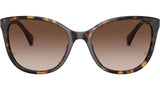 RA5282U 500313 Havana Brown