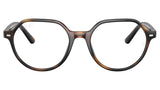 RY9095V 3685 Tortoise