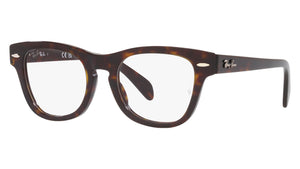 RY9707V 3887 Tortoise