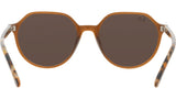 Thalia RB2195 663693 transparent brown