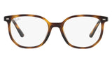 RY9097V 3685 Tortoise