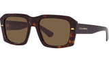 DG 4430 502/73 Tortoise Brown