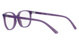 RY9097V 3935 Purple