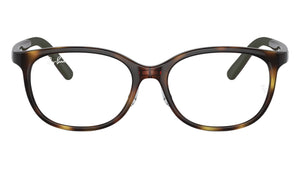 RY1614D 3863 Tortoise