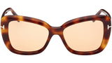 Maeve FT1008 53E Tortoise