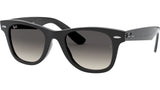 Wayfarer RJ9066S 100/11 black